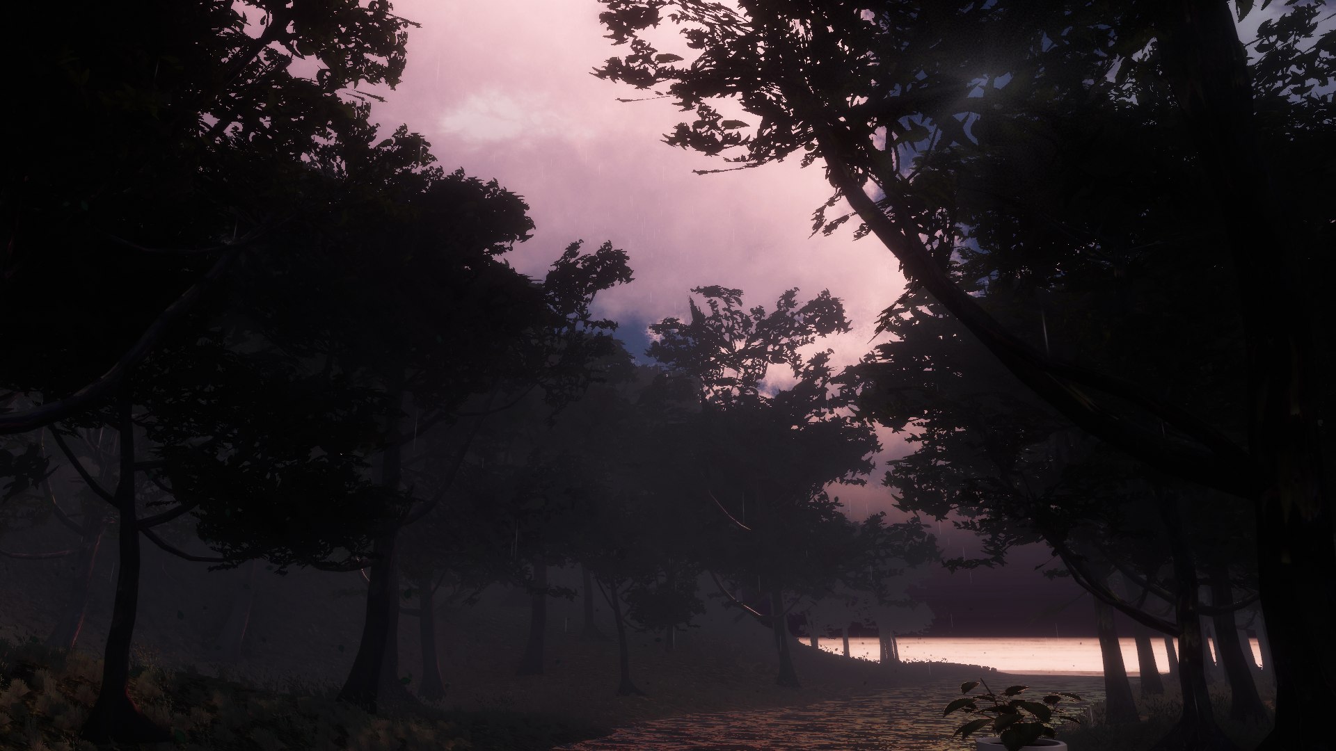 夕暮れの森と水辺